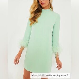 Tuckernuck Mint Feather Mod Ellie Dress